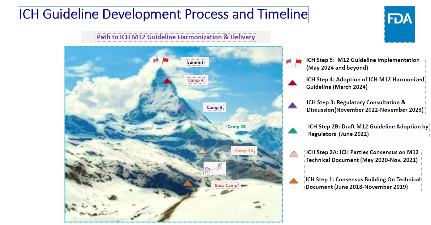 ICH M12 Drug-Drug Interaction Studies Final Guidance