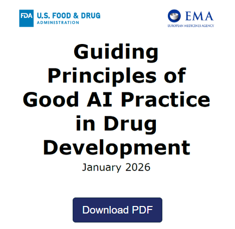 Guiding Principles of Good AI Practice in Drug Development